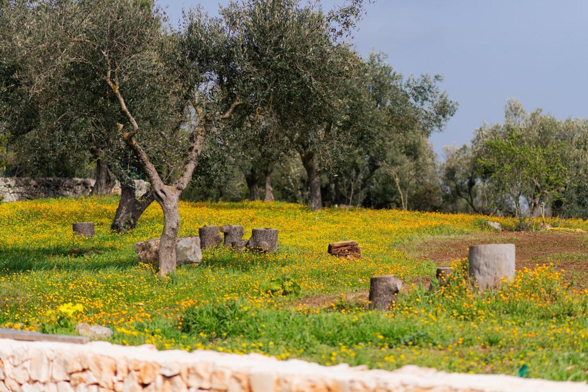 Willa Trulli Magda Martina Franca Zewnętrze zdjęcie