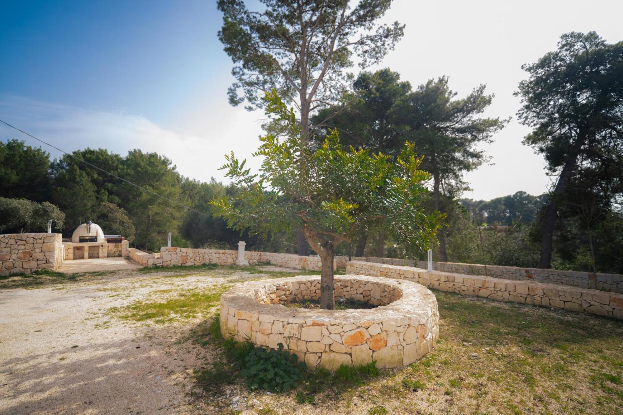 Willa Trulli Magda Martina Franca Zewnętrze zdjęcie