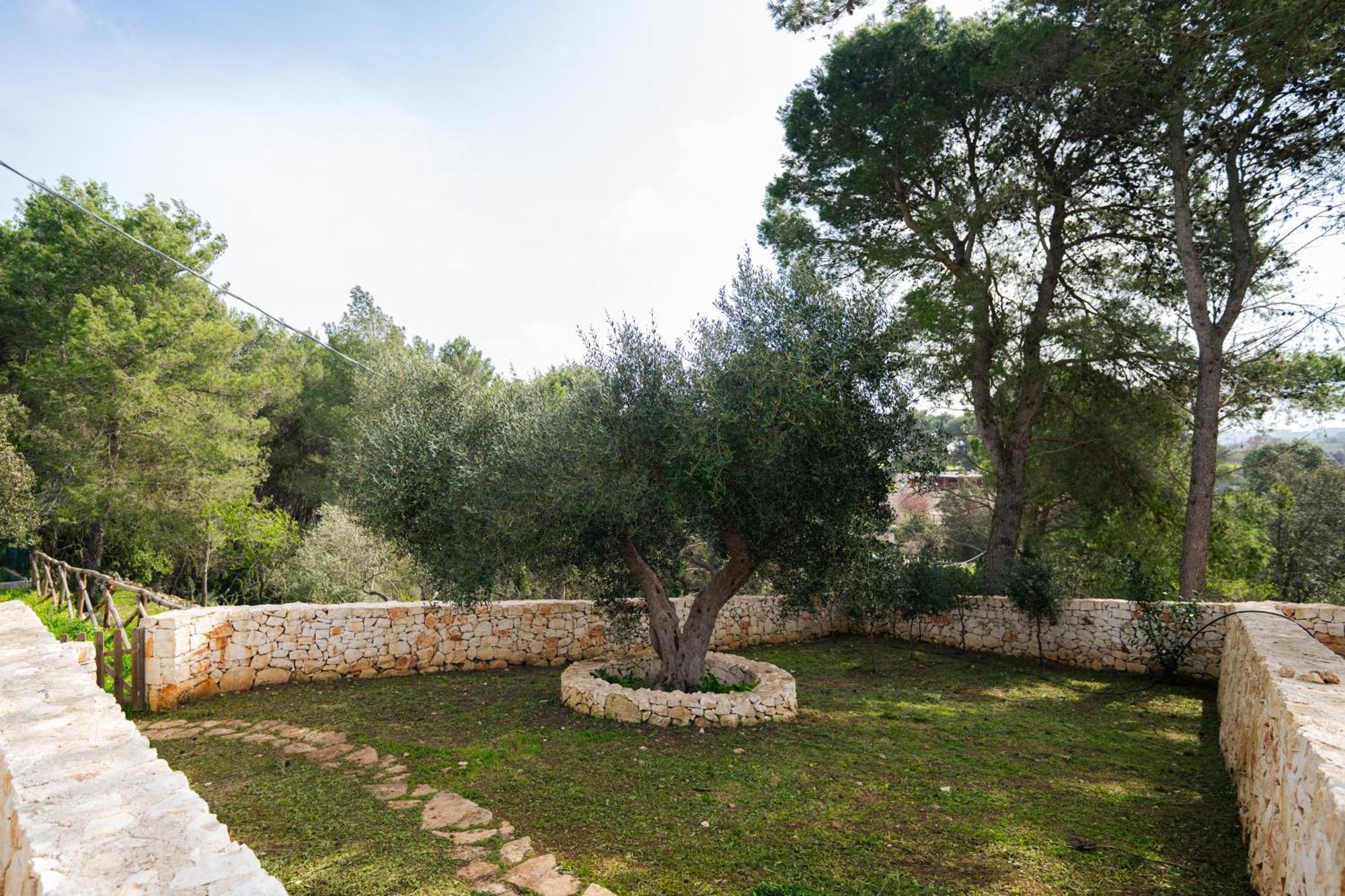 Willa Trulli Magda Martina Franca Zewnętrze zdjęcie