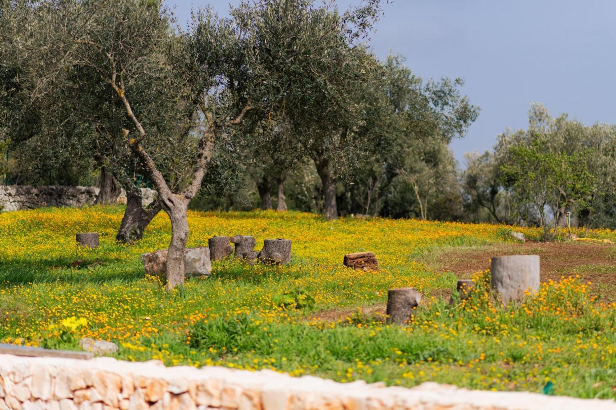 Willa Trulli Magda Martina Franca Zewnętrze zdjęcie